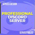 Professional Discord Server Setup